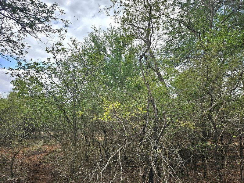 Corner Stand a real treat! - Photo 7