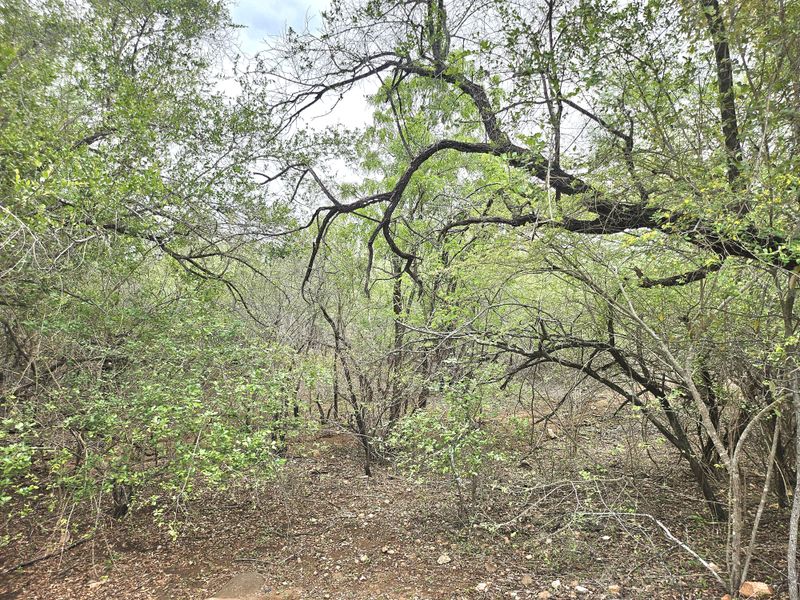 Corner Stand a real treat! - Photo 8