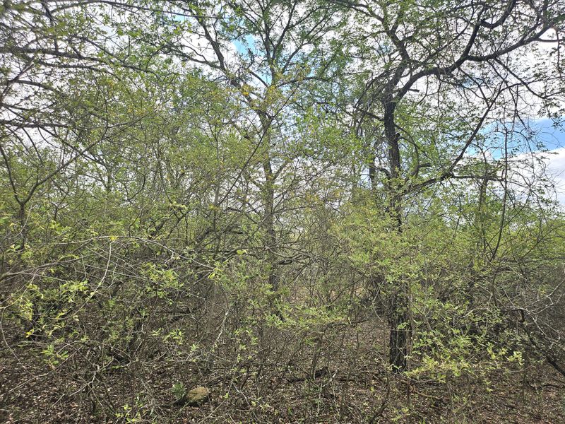 Corner Stand a real treat! - Photo 6