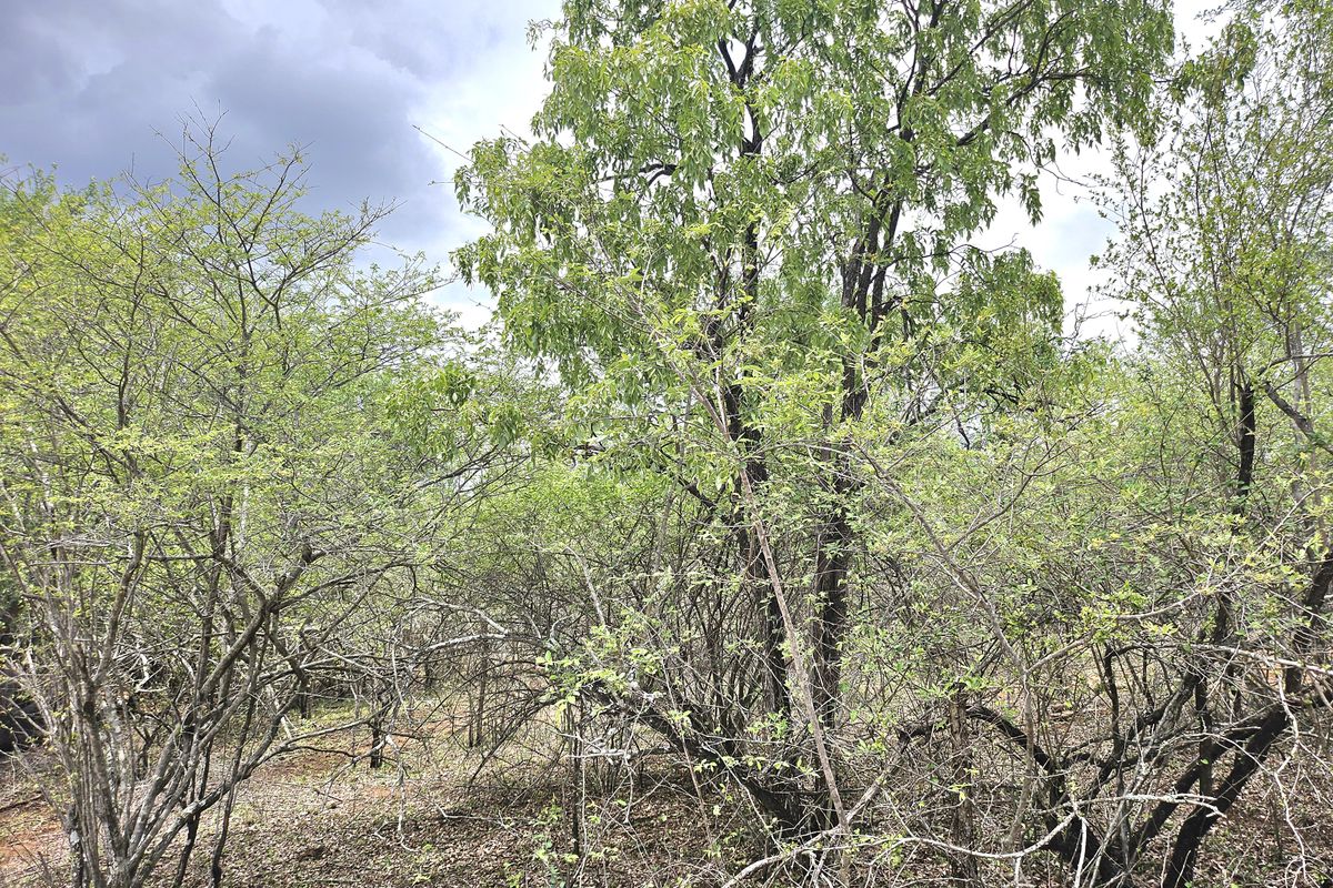 Corner Stand a real treat! - Photo 2