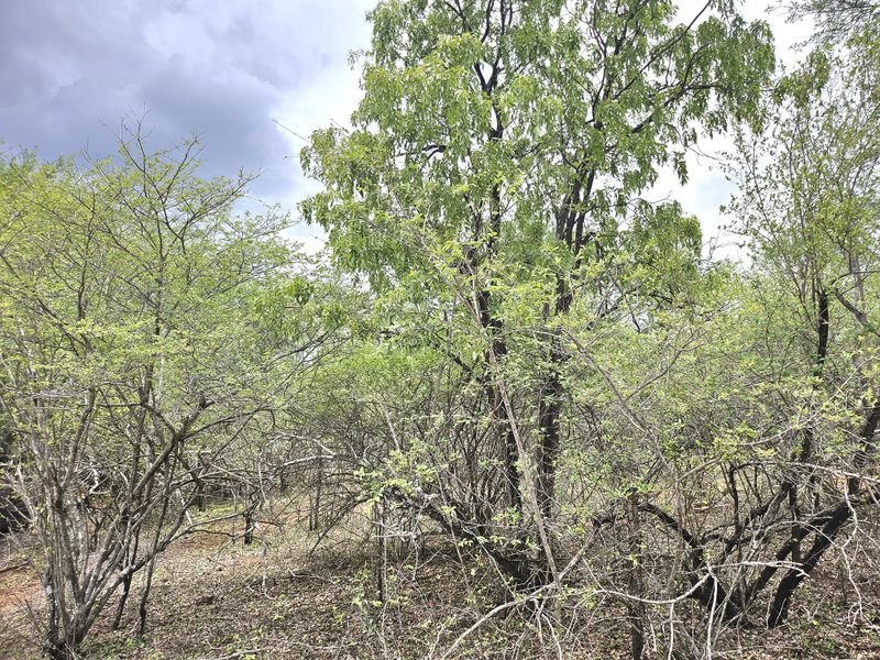 Corner Stand a real treat! - Photo 2