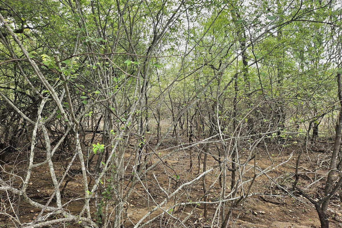 Corner Stand a real treat! - Photo 3