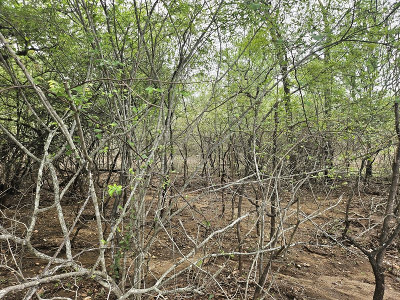 Corner Stand a real treat! - Photo 3