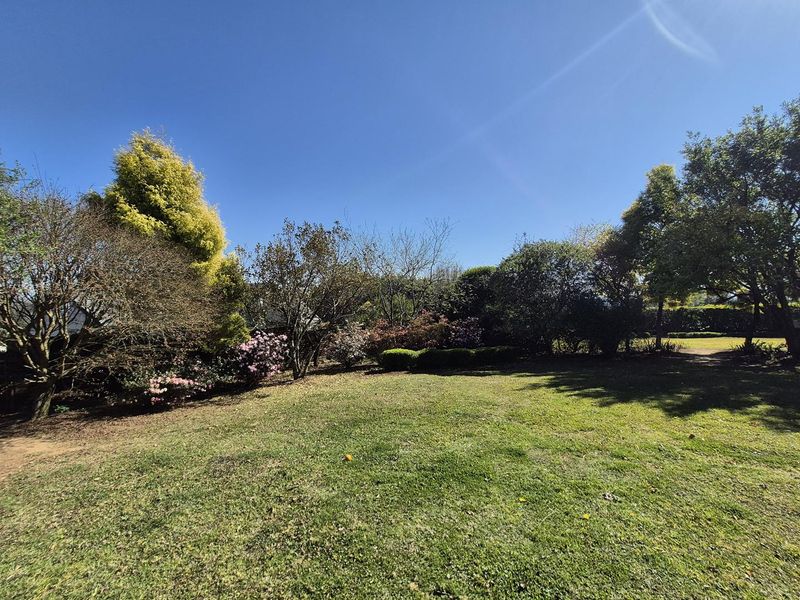 RARE OPPORTUNITY - Photo 8