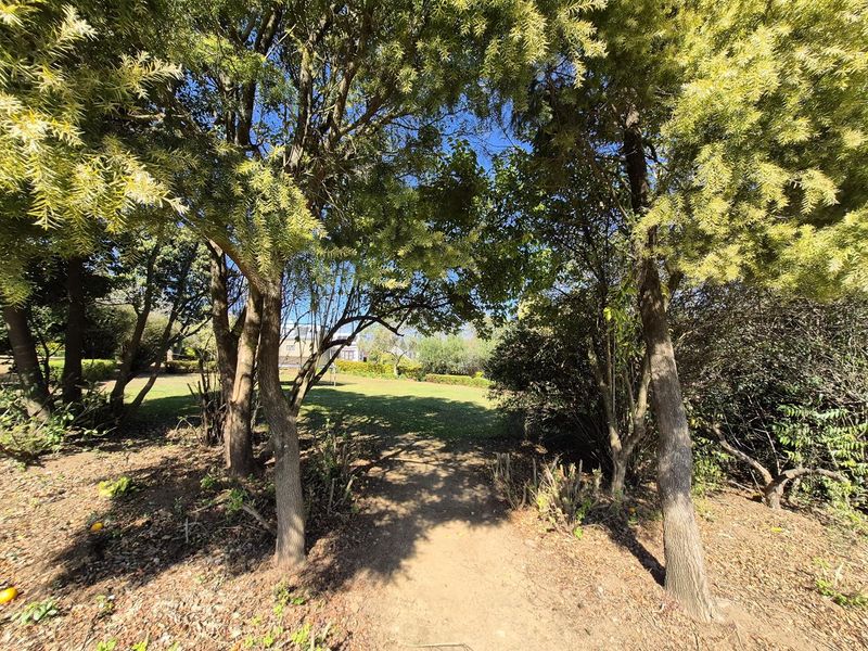 RARE OPPORTUNITY - Photo 7