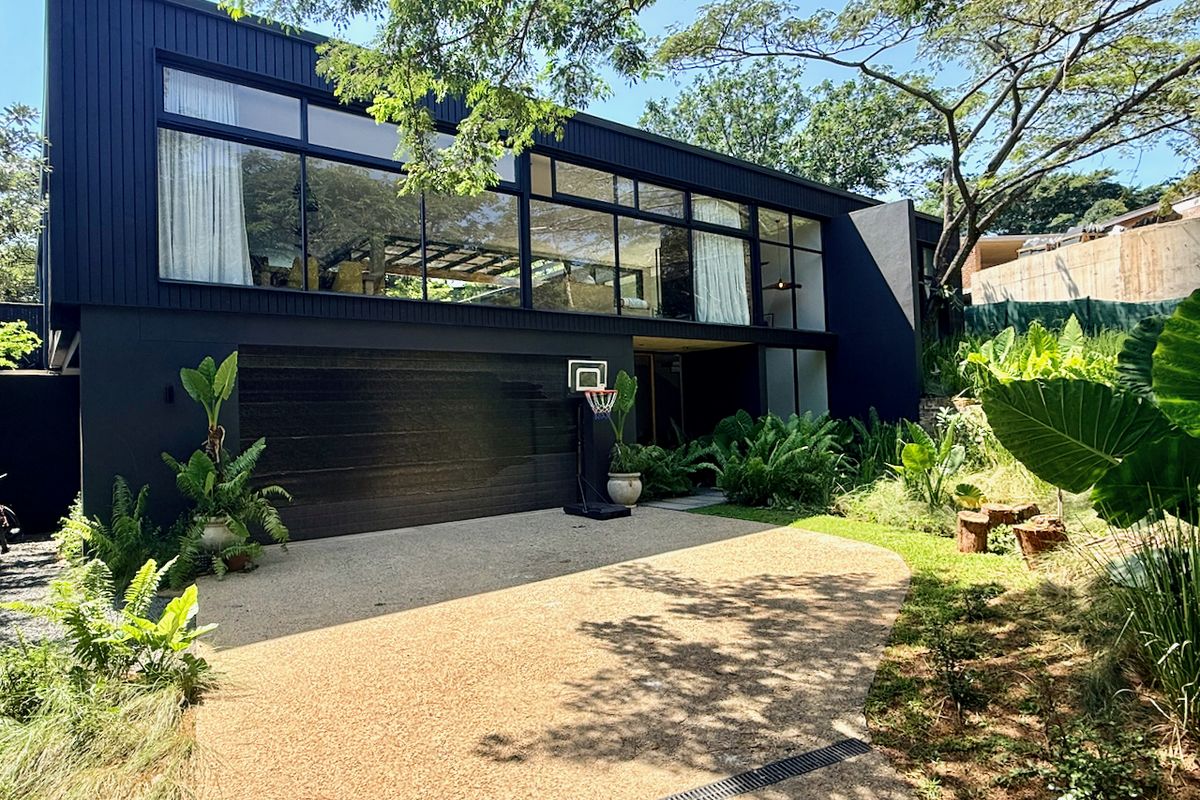 Sculpted for Light, designed for Luxury - Photo 2