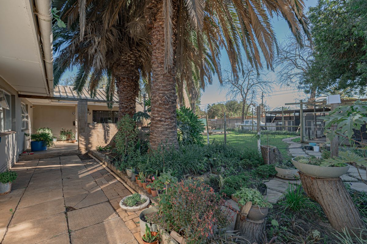A rear garden area featuring a paved walkway, mature palm trees, established garden beds, and a covered patio space.