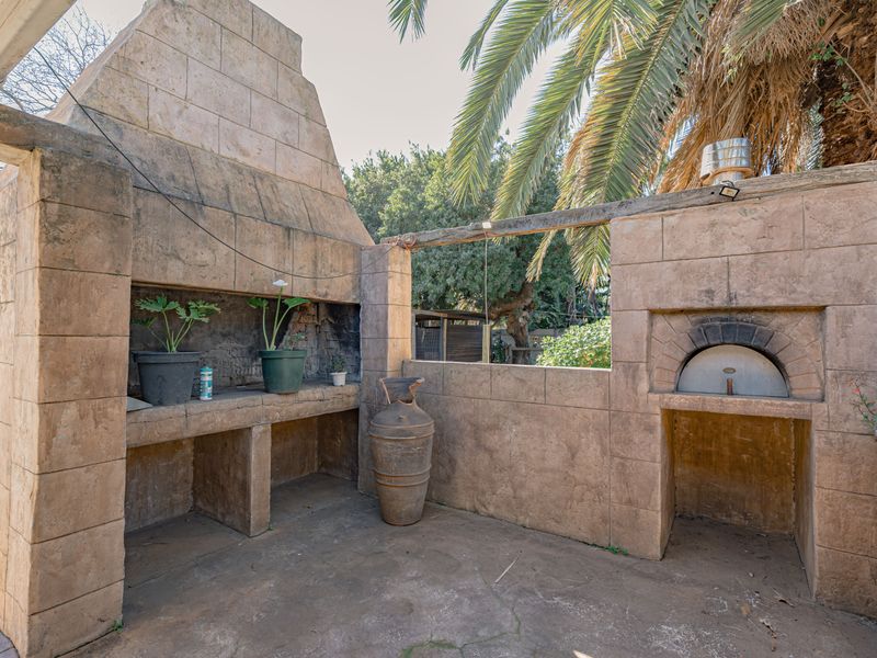 Outdoor entertainment area featuring a substantial built-in masonry braai and integrated pizza oven, set within a rustic garden environment.