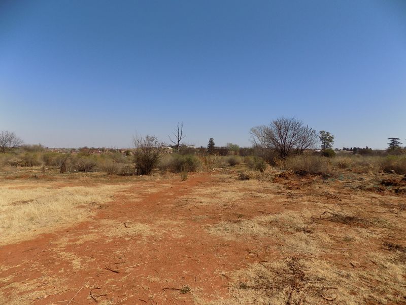 Calling all investors!!! - Photo 10