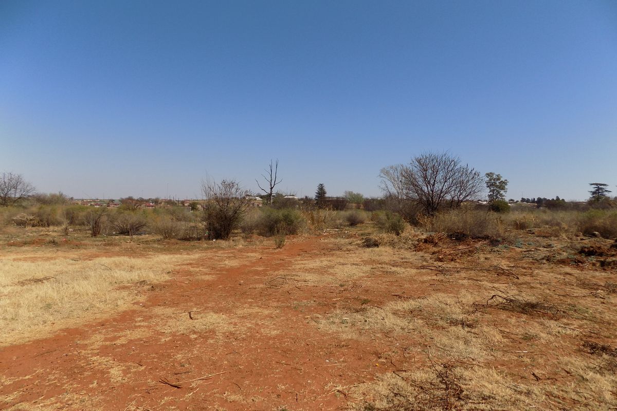 Calling all investors!!! - Photo 5