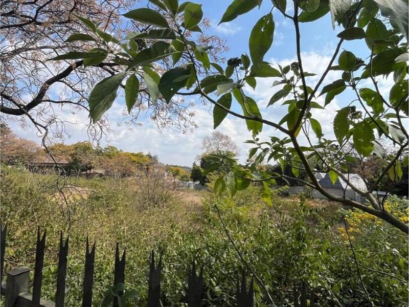A view of a vacant residential plot featuring established trees and dense vegetation, secured by a metal perimeter fence.