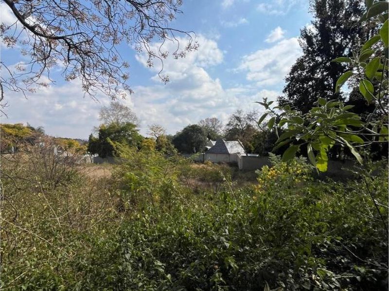A view of a vacant residential plot featuring dense, overgrown vegetation and mature trees, offering a blank canvas for future development.