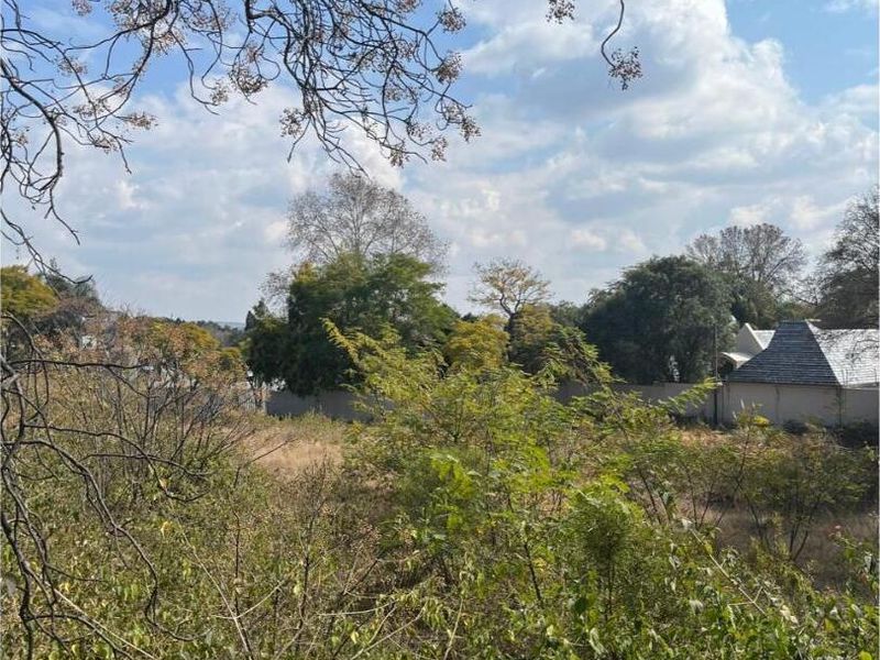 A view of a vacant residential plot featuring natural vegetation, mature trees, and surrounding boundary walls.