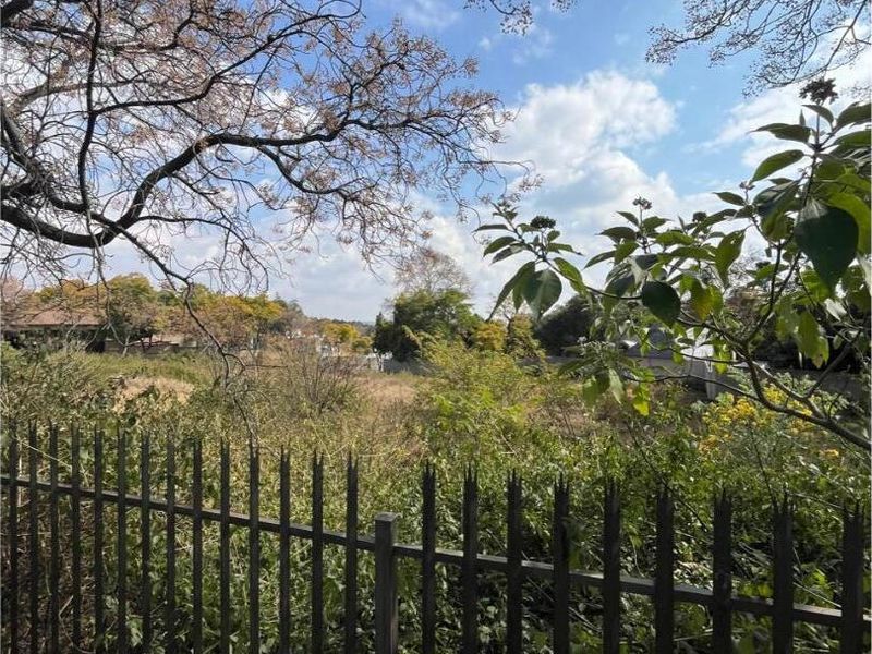 A view of a vacant residential plot featuring established trees and a metal perimeter fence, offering potential for future development.