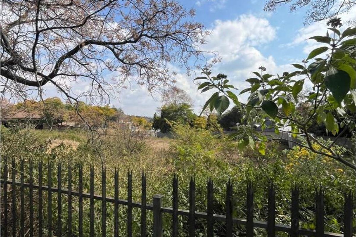 A view of a vacant residential plot featuring established trees and a metal perimeter fence, offering potential for future development.