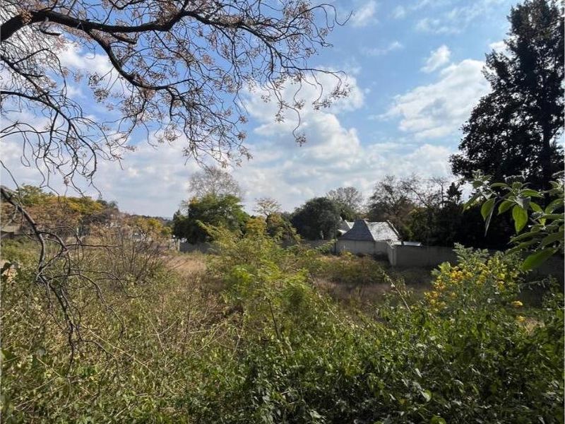 A view of a vacant residential plot featuring dense, overgrown vegetation and mature trees, offering potential for future development.