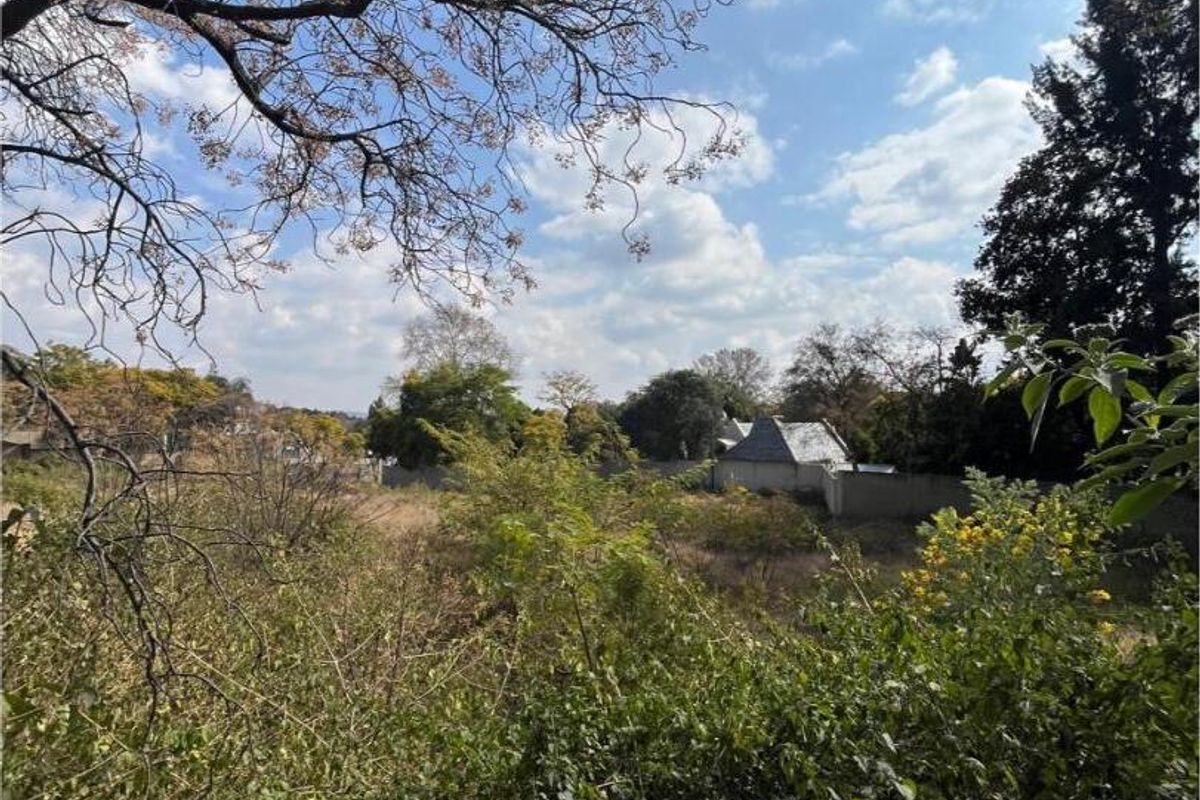 A view of a vacant residential plot featuring dense, overgrown vegetation and mature trees, offering potential for future development.