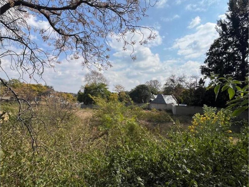 A view of a vacant residential plot featuring overgrown vegetation and mature trees, with neighboring property structures visible in the background.