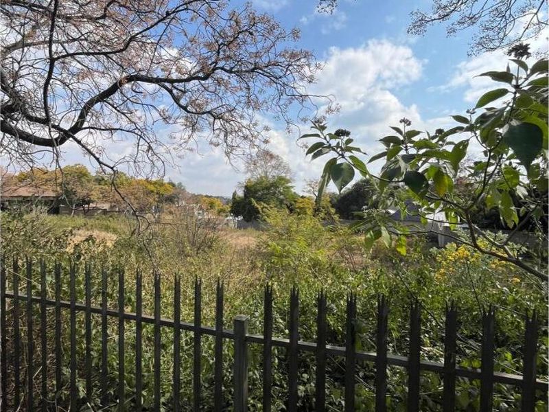 A view of a vacant residential plot featuring established trees and a metal perimeter fence.