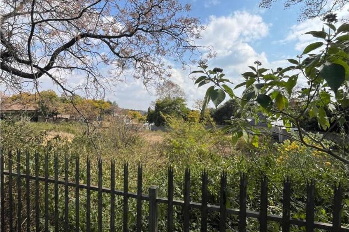 A view of a vacant residential plot featuring established trees and a metal perimeter fence.