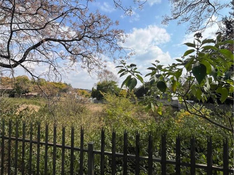 A view of the vacant residential land featuring established trees and a metal perimeter fence.