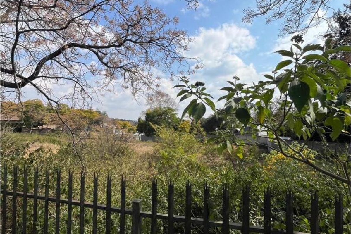 A view of the vacant residential land featuring established trees and a metal perimeter fence.