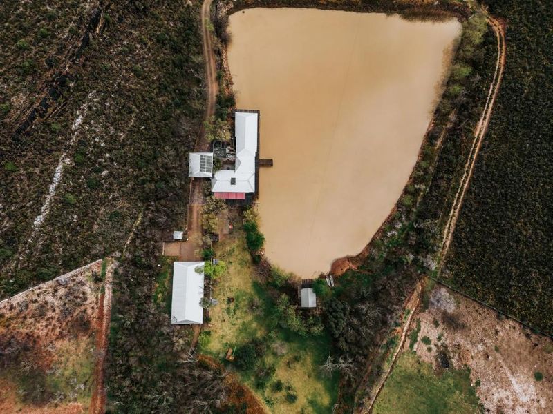 Beautiful Luxury Accommodation and Farm - Photo 2