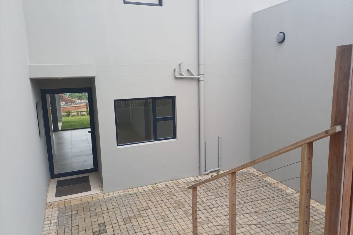 A clean, paved rear courtyard featuring a timber and wire balustrade, external plumbing, and modern aluminium window and door frames.
