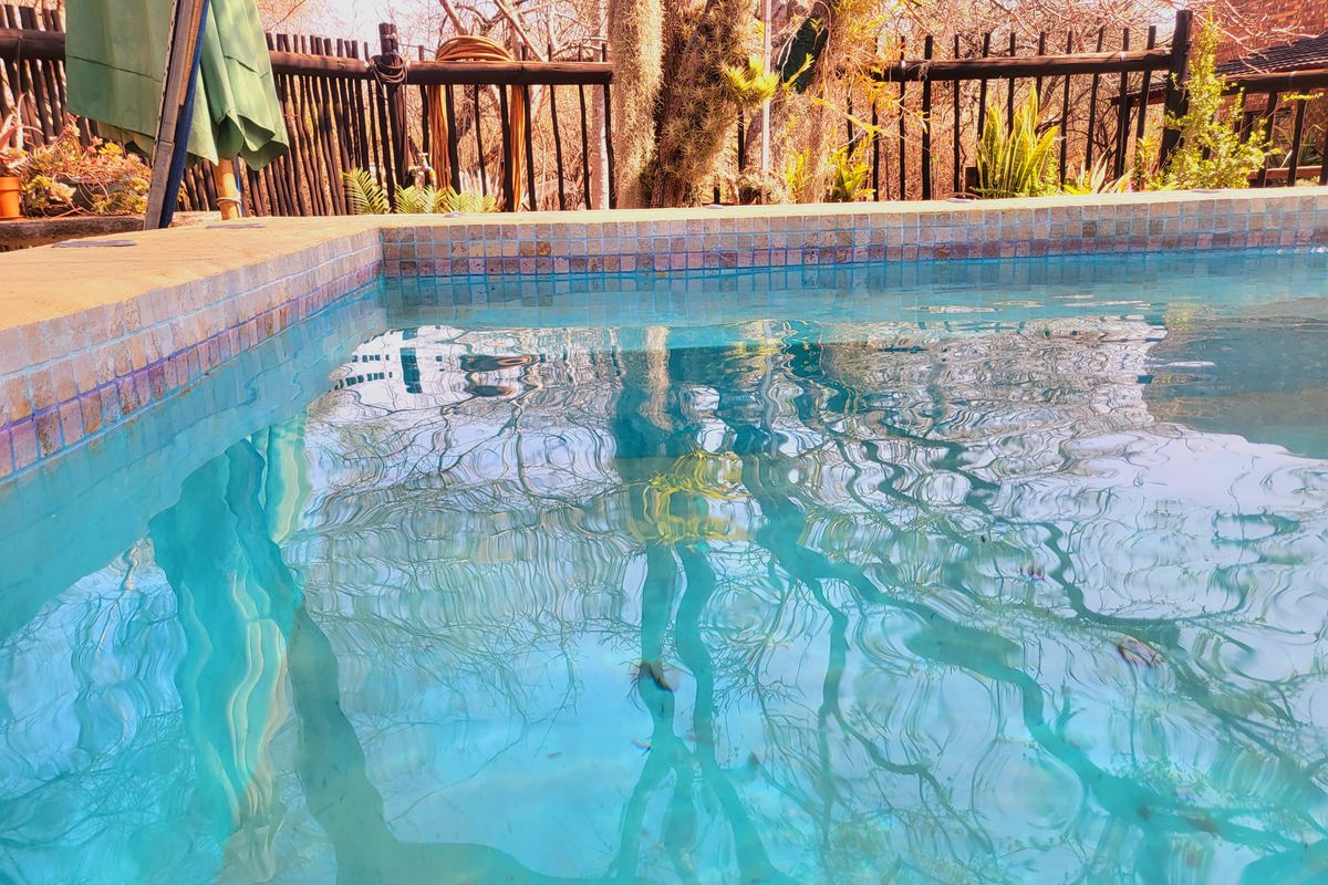 Walking Distance to the River - Photo 2