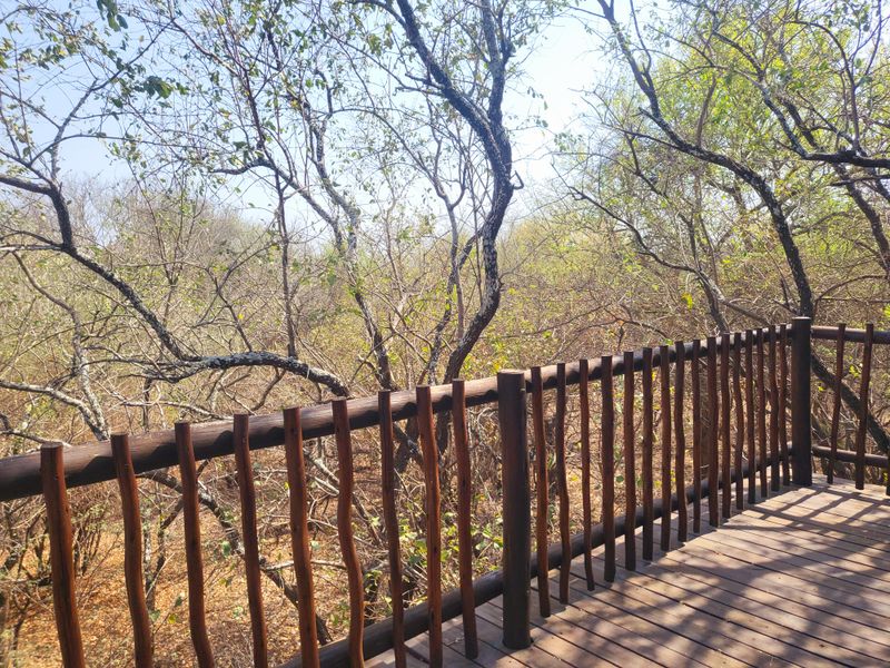 Walking Distance to the River - Photo 6