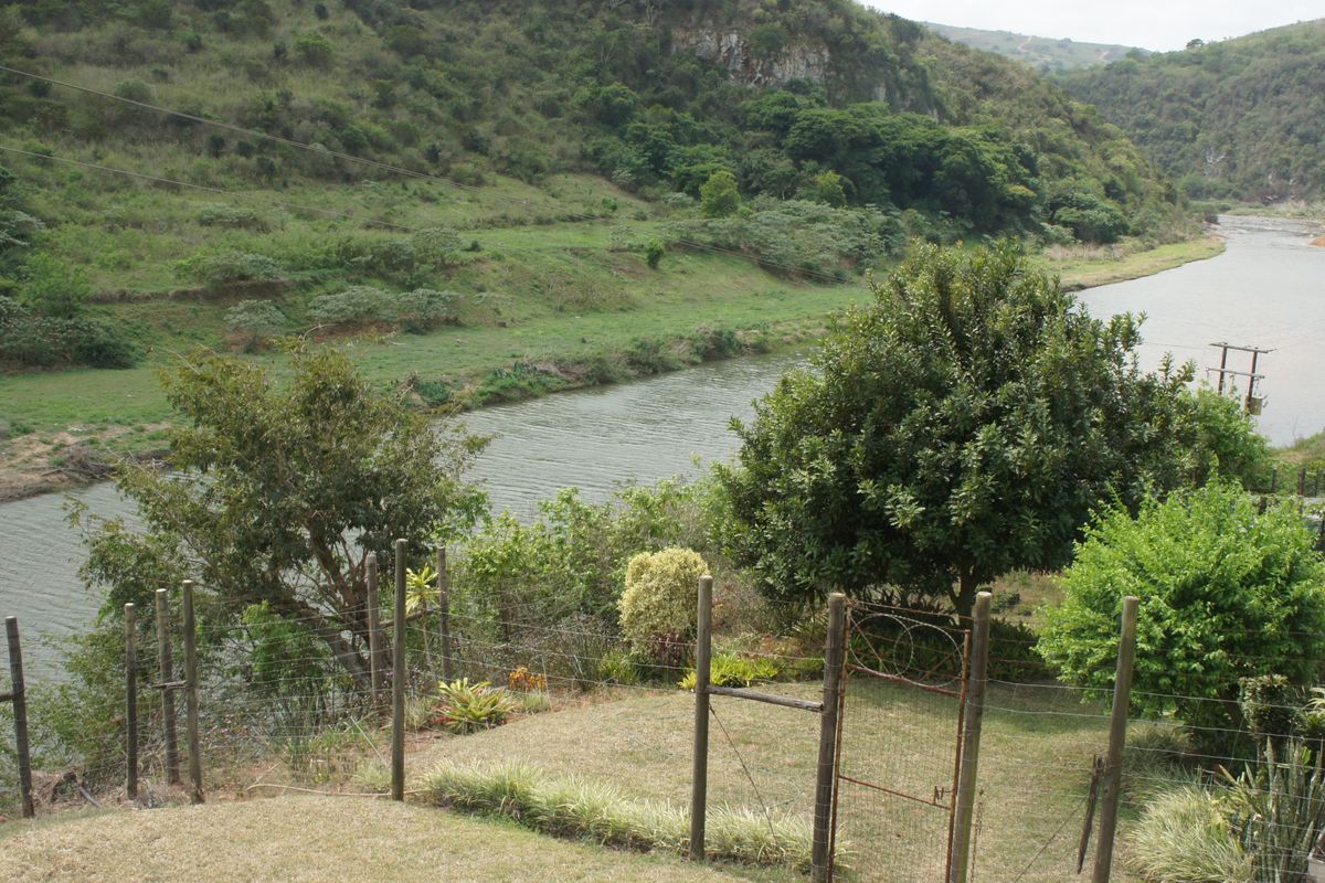A Farm with a Riverfront view and water rights - Photo 5