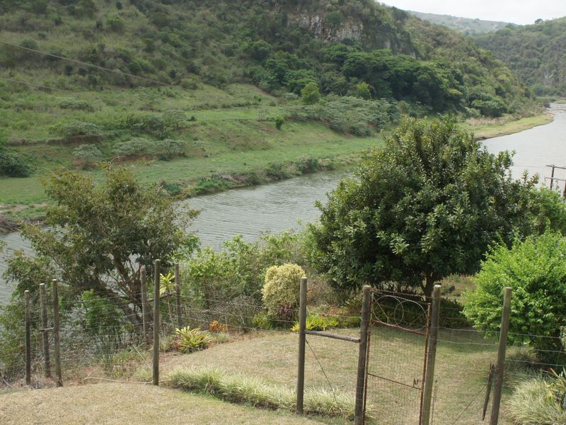 A Farm with a Riverfront view and water rights - Photo 5
