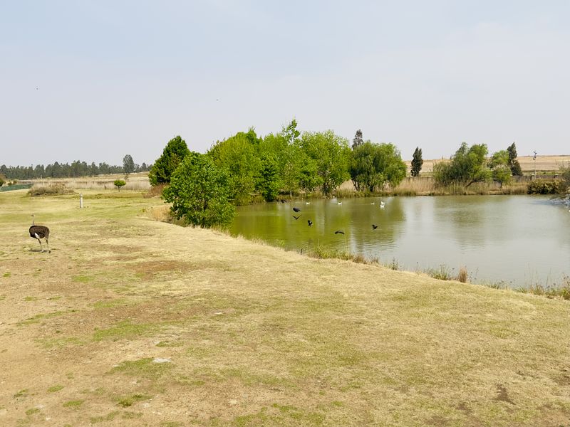 Stands for Sale _ No Transfer Costs Payable! - Photo 9