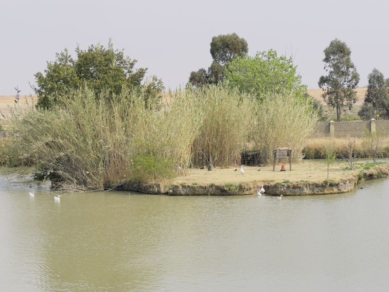 Stands for Sale _ No Transfer Costs Payable! - Photo 8