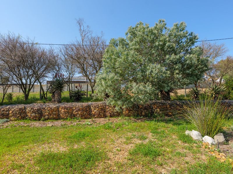 Renovated Industrial-Modern Farmhouse in Napier - Photo 7