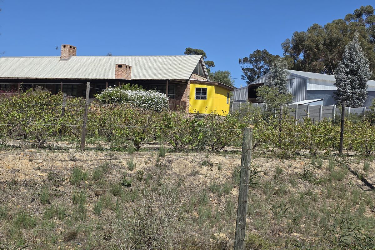 Renovated Industrial-Modern Farmhouse in Napier - Photo 5