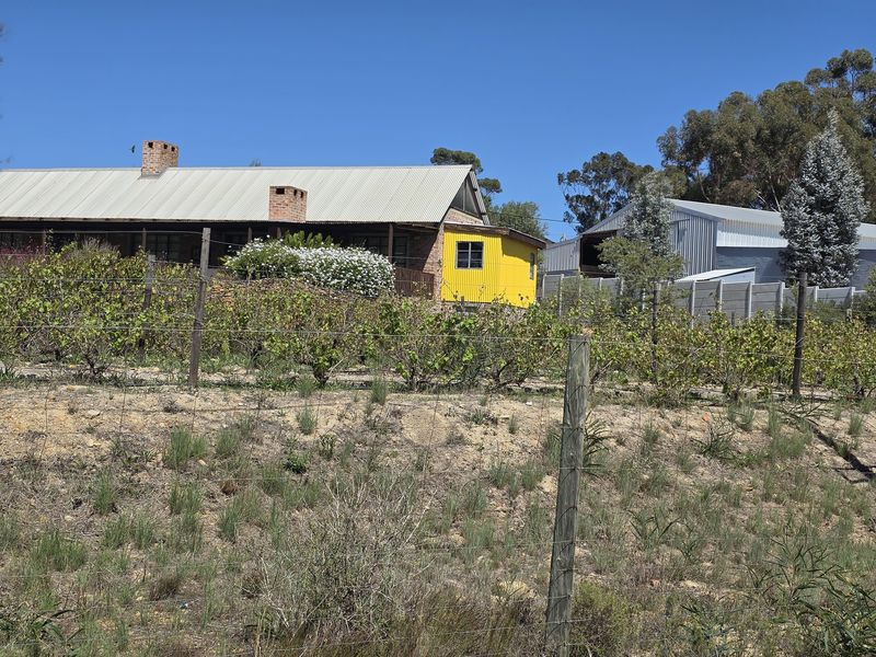 Renovated Industrial-Modern Farmhouse in Napier - Photo 6
