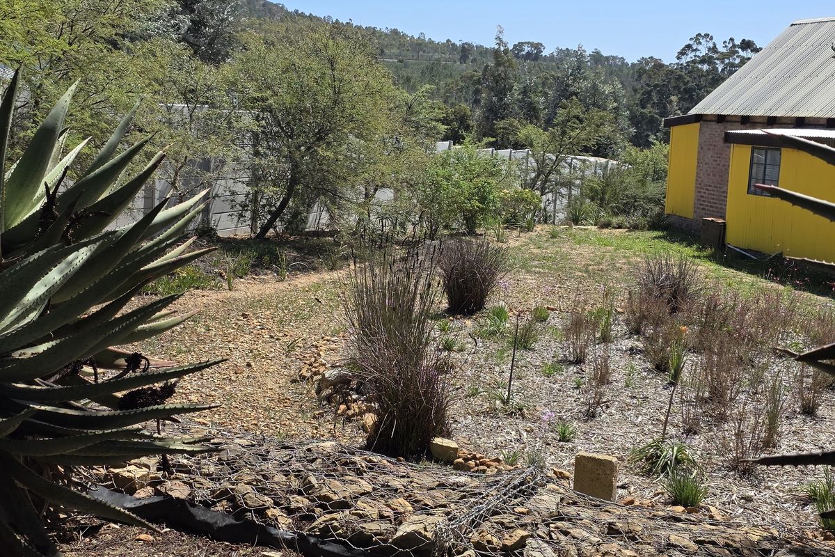 Renovated Industrial-Modern Farmhouse in Napier - Photo 3