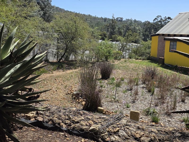 Renovated Industrial-Modern Farmhouse in Napier - Photo 3