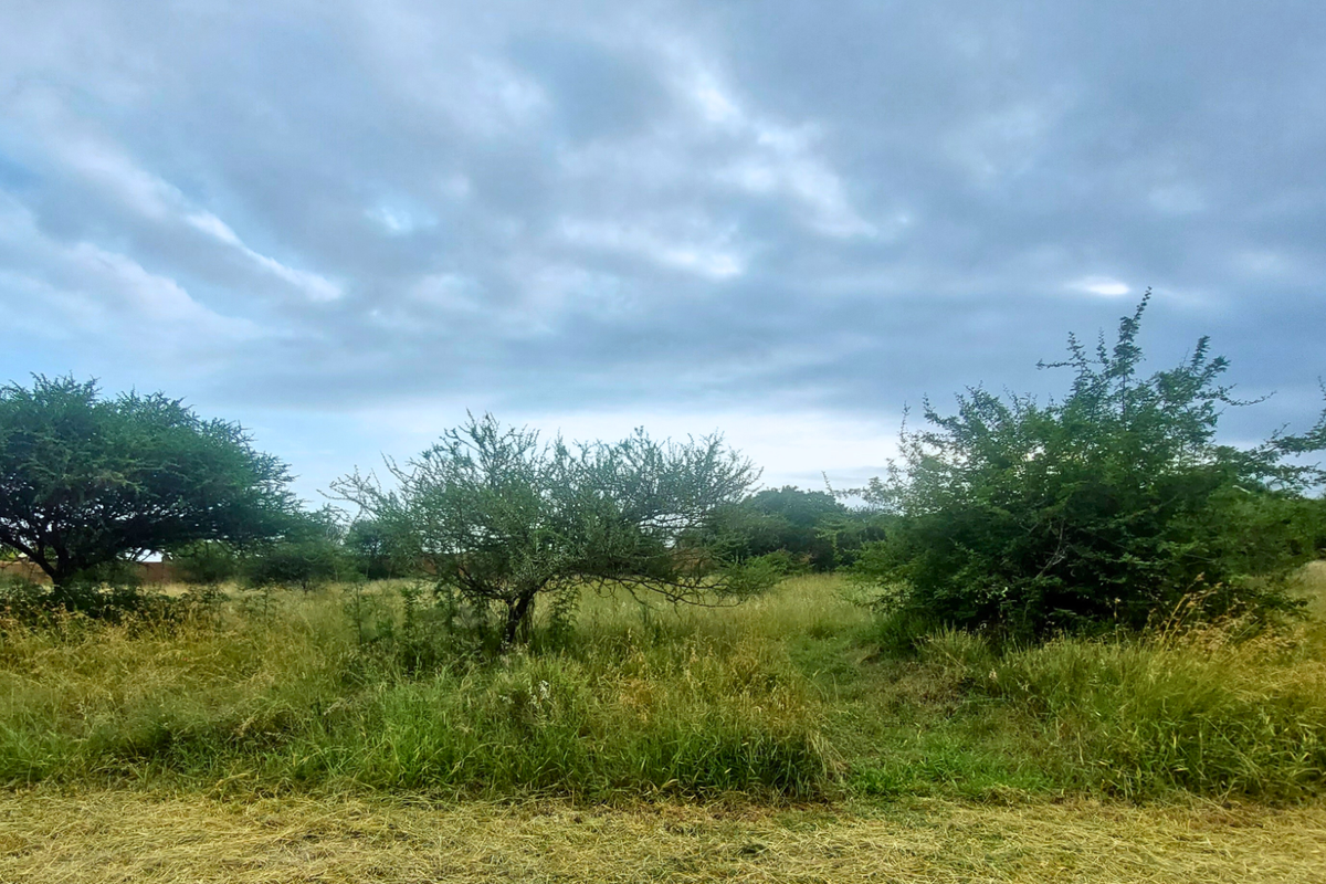 An Exceptional Canvas for Your Signature Home - Photo 4