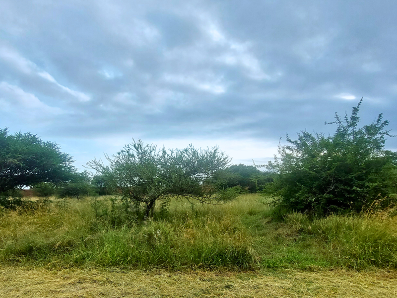 An Exceptional Canvas for Your Signature Home - Photo 4