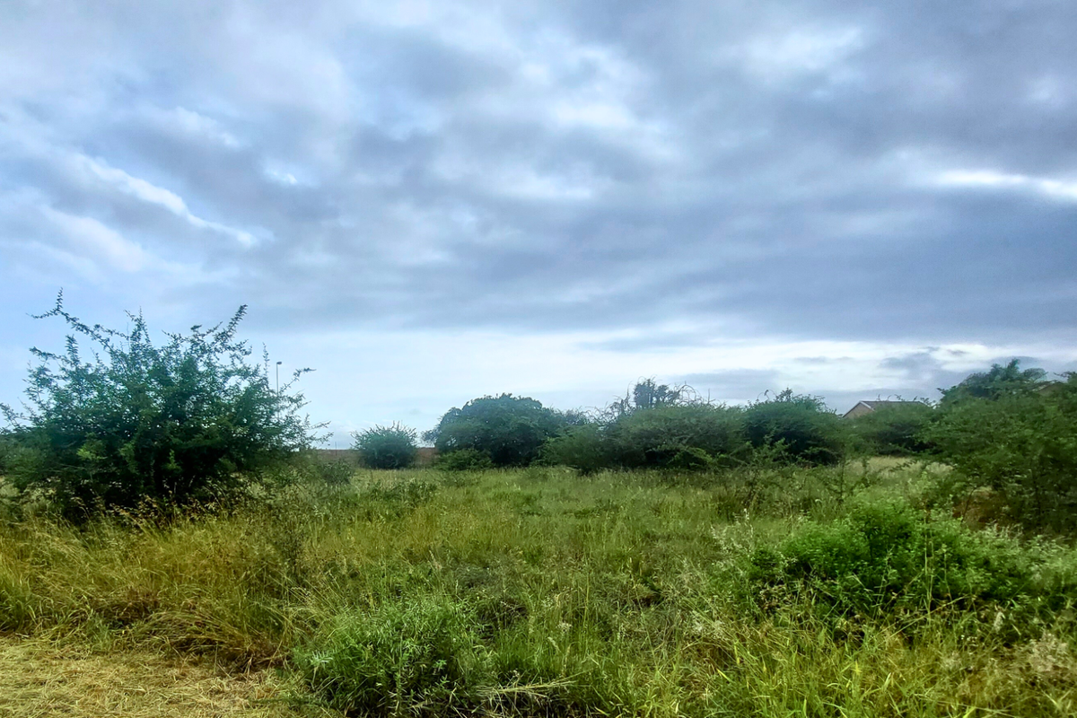 An Exceptional Canvas for Your Signature Home - Photo 5