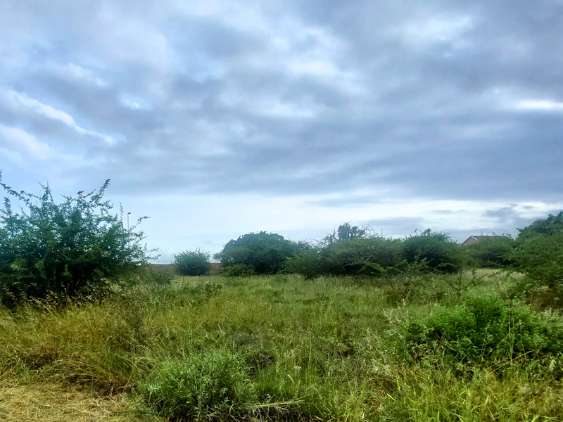 An Exceptional Canvas for Your Signature Home - Photo 5