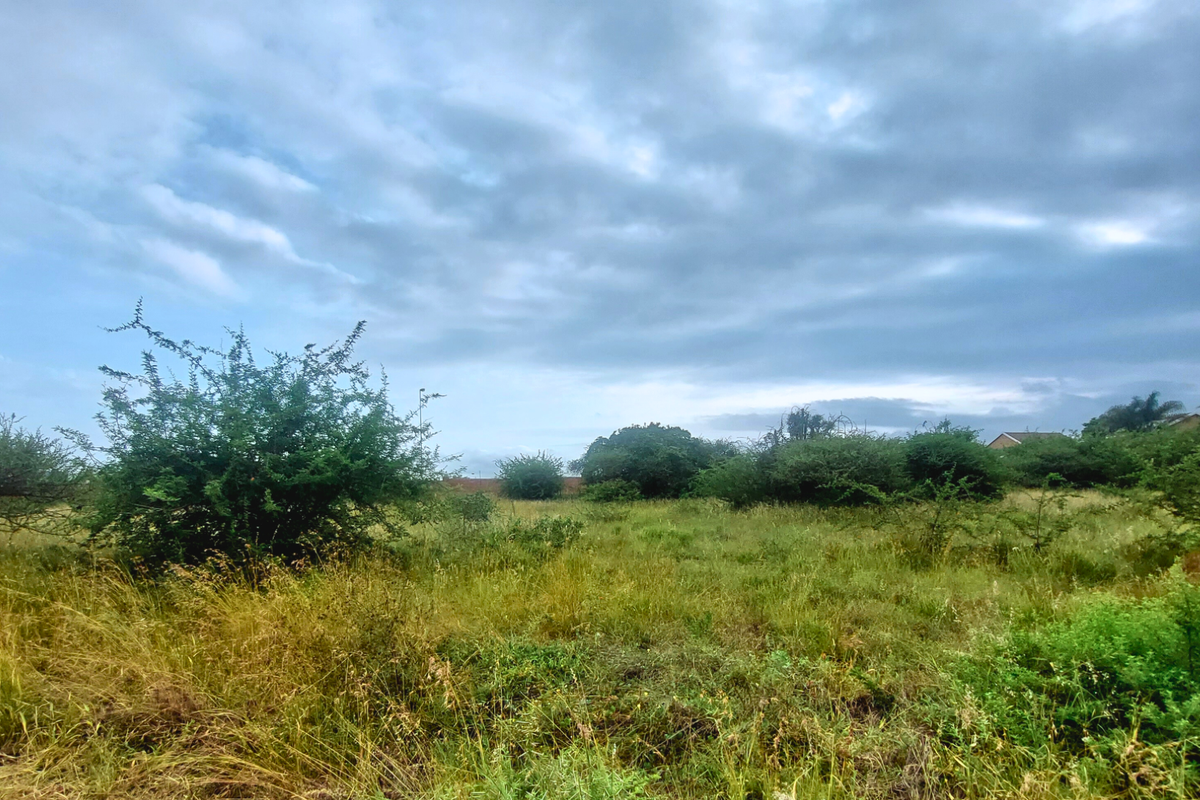 An Exceptional Canvas for Your Signature Home - Photo 2