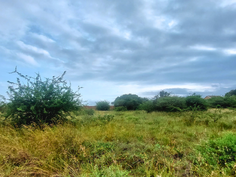 An Exceptional Canvas for Your Signature Home - Photo 2