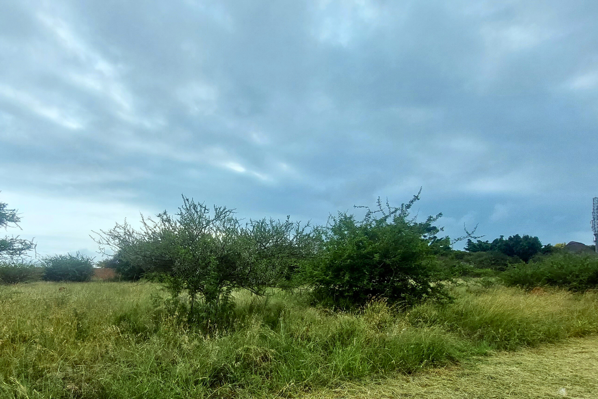 An Exceptional Canvas for Your Signature Home - Photo 3