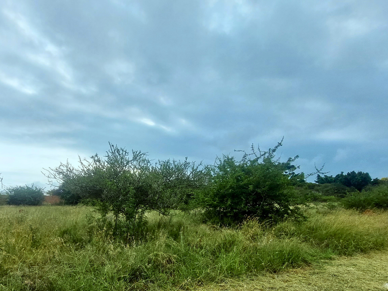 An Exceptional Canvas for Your Signature Home - Photo 3