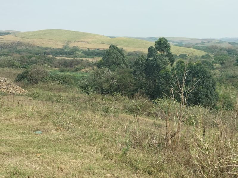 Your slice of paradise in Zimbali Lakes - Photo 5