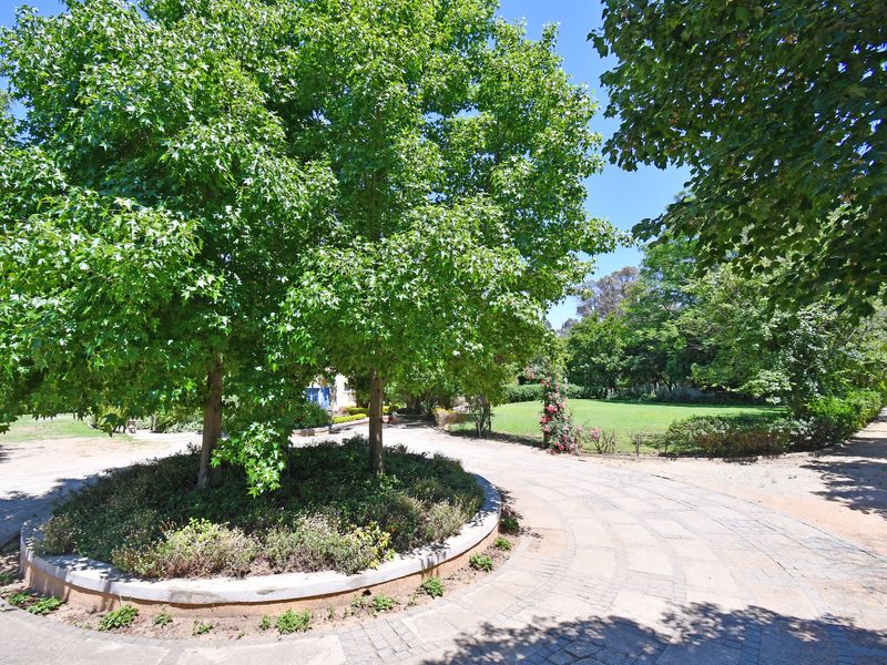 A well-maintained garden featuring a circular paved driveway, mature trees, and a lush green lawn area.