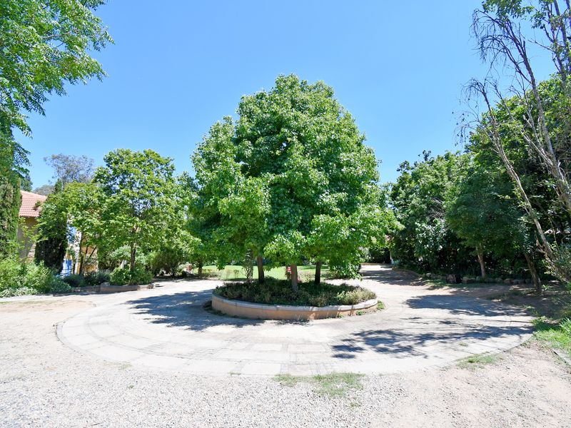 A spacious circular paved driveway featuring a central raised garden bed with mature trees, providing a grand entrance or turning area.